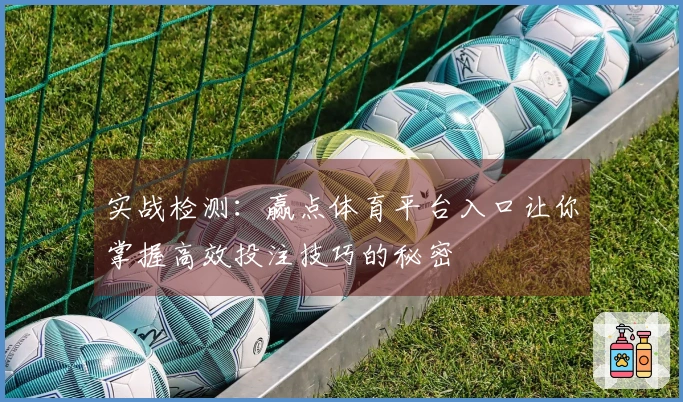 实战检测：赢点体育平台入口让你掌握高效投注技巧的秘密